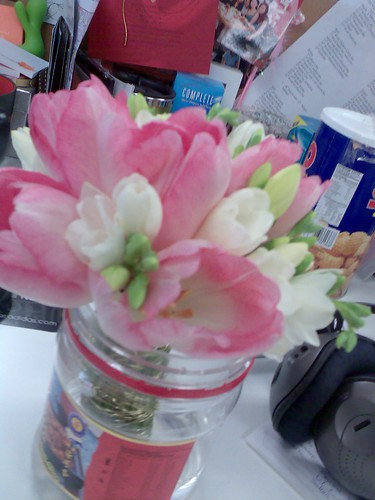 Flowers1