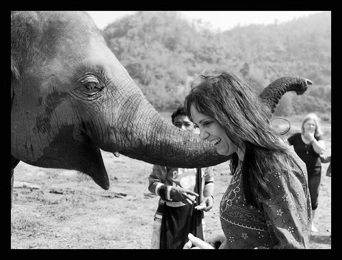 Elephant Nature Park, Chiang Mai Thailand 2/08