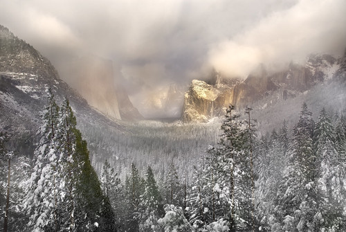 Snowstorm in Yosemite
