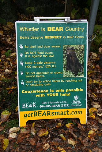 Bear Country by you.