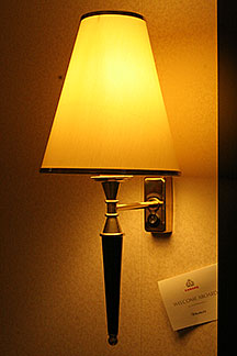 Our Pet Lamp