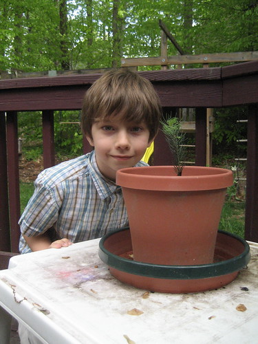 4/24/10: Jonathon (and each class mate) got a baby tree from their teacher for Earth Day.