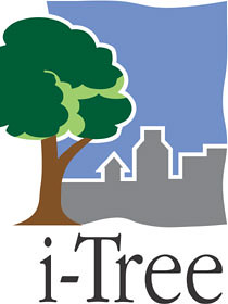 i-Tree Software Logo