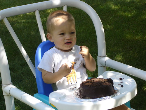 Ethan's 1st Birthday