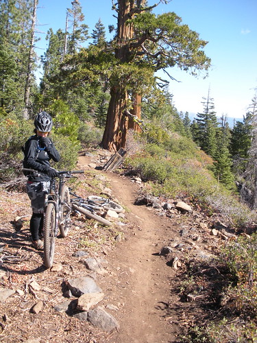 Anna on the Tahoe Rim Trail