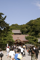 鶴岡八幡宮, 鎌倉