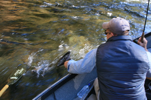 McKenzie River Oregon Fly Fishing