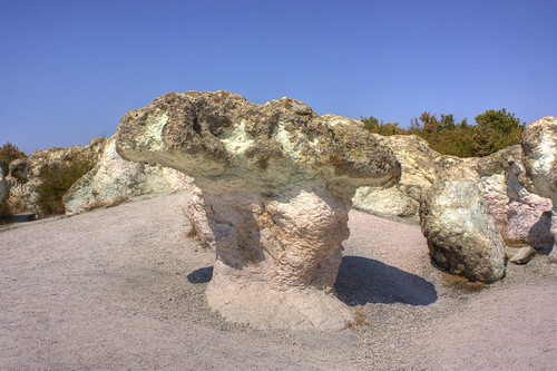Каменни гъби