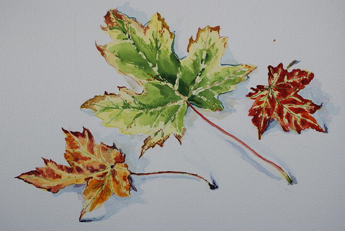 The autumn leaves (watercolour)