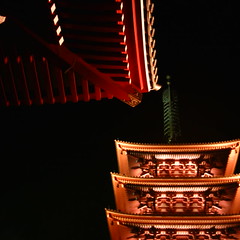 【写真】ミニデジで撮影した浅草寺五重塔