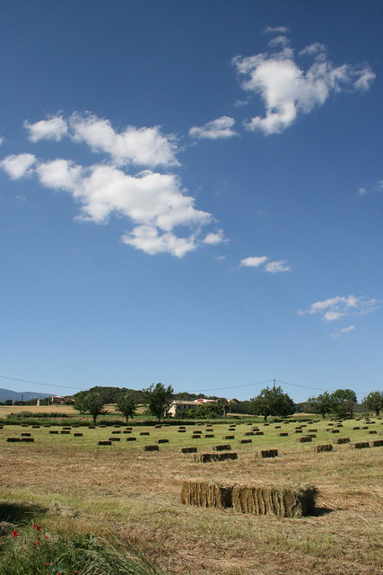 countryside of Provence