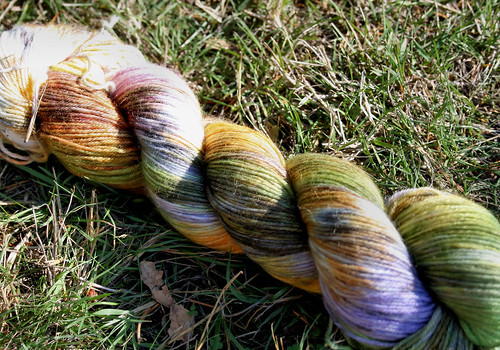 October Wool Dye for Ewe "Taking the Kids trick or treating"