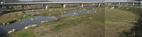C608標生態池；攝影：林世偉，2008年2月26日 