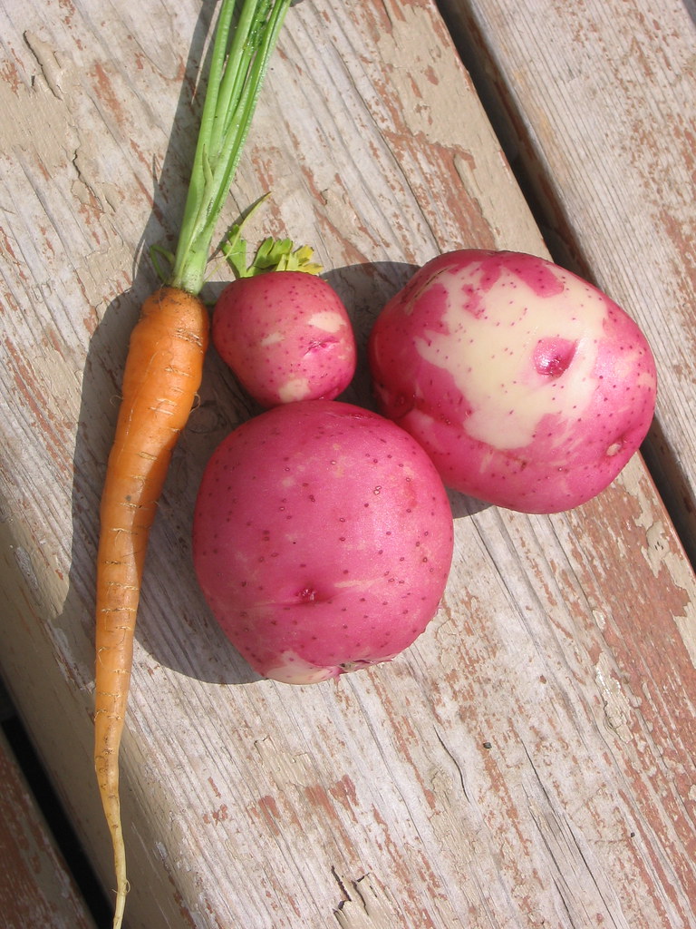 Baby Potatoes & Carrot