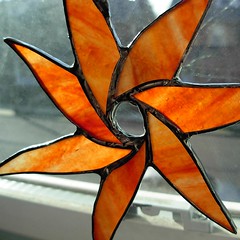 orange star flower