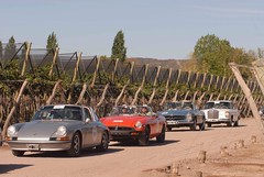 El desfile de autos por los Viñedos de Bodega Norton