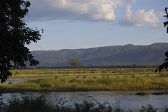 View from Mana Pools accomodations