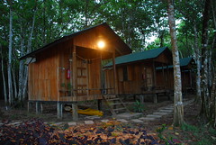 Jungle Huts (Nature Lodge)