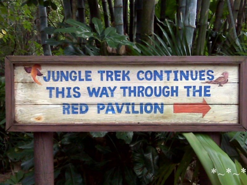 IMG01438-Maharaja-Jungle-Trek-That-Way