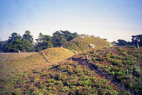 The Living Roof