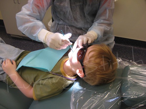 dentist june 2008