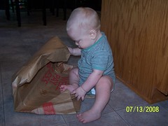 destrying the grocery bag