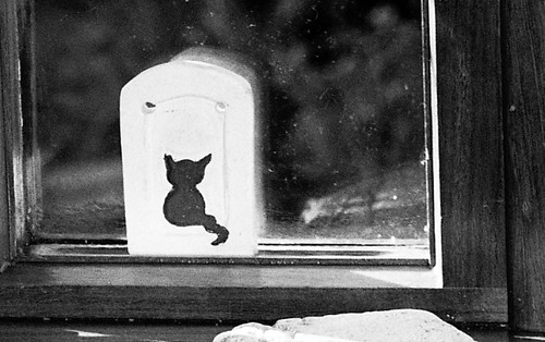 Ceramic Cat on Window Sill