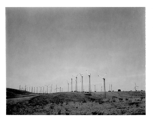 Windmills On Altamont Pass Road