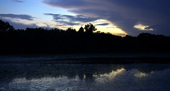 Marsh Sunset 2