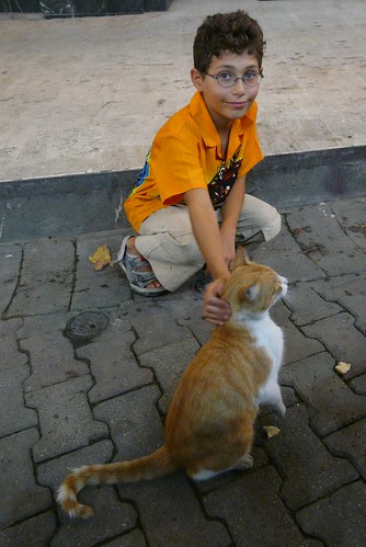 a boy and a cat