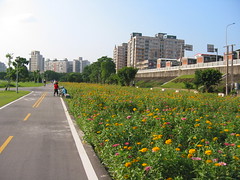 河濱公園單車道
