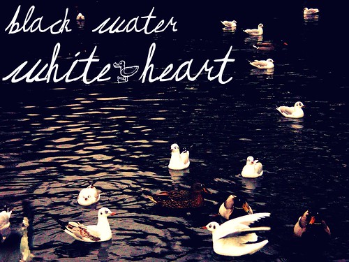 Black Water White Heart