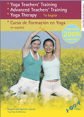 Yoga Brochure