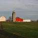 Amish Red Barn in field
