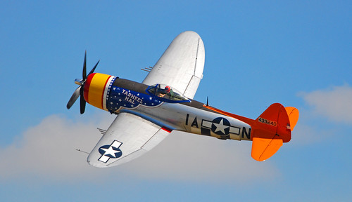 Warbird picture - P_47 Thunderbolt &quot;Tarheel Hal&quot;