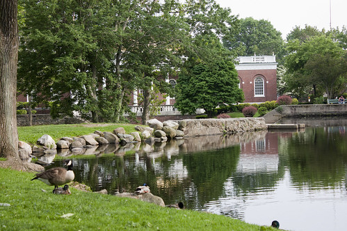 Milford, CT Duck Pond