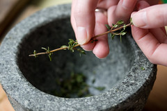 Thyme Leaves