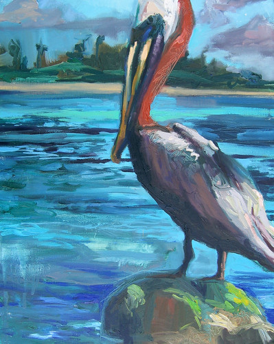Aruba Pelican_20x16