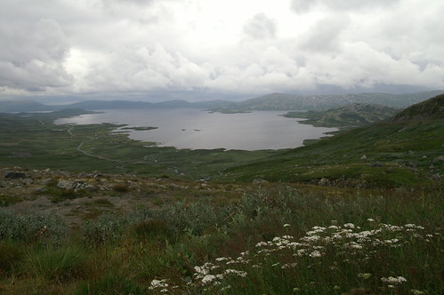 One of the Norwegian Nationalparks in the southern highlands