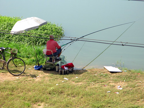 Fishing at lake near Tanghe, Henan Province, China