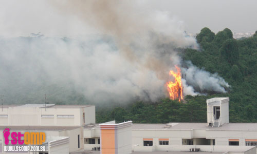 Bukit Batok bushfire a surreal experience for fire safety engineer