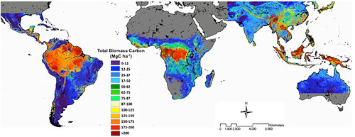 Global Forest Carbon Map