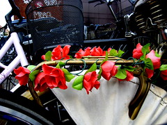 Bike Rack Flora