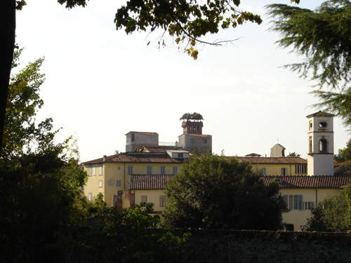 Día 9.- Pisa y Lucca - Viaje por Italia (3)