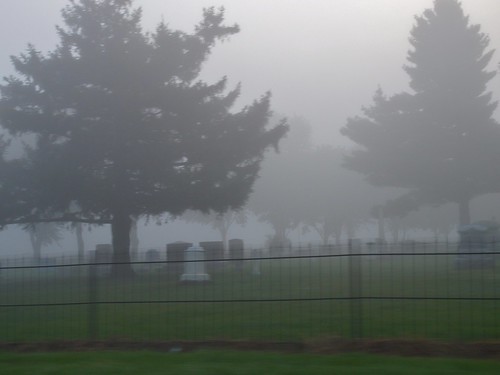 Roadside Cemetery in Dane County