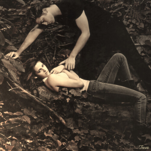 Edward and Bella by Tessii.