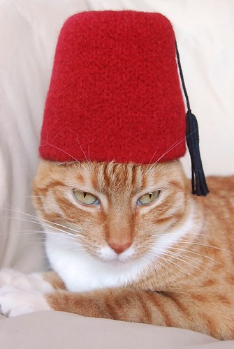 cat in hat. International Cat Hat: Turkey