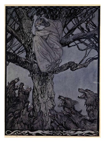 16-Irish fairy tales- Stephens, James- 1920