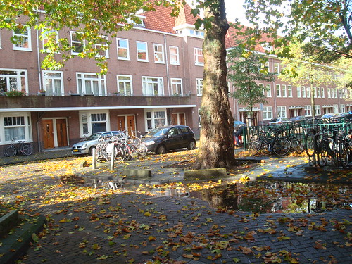 Outono holandês
