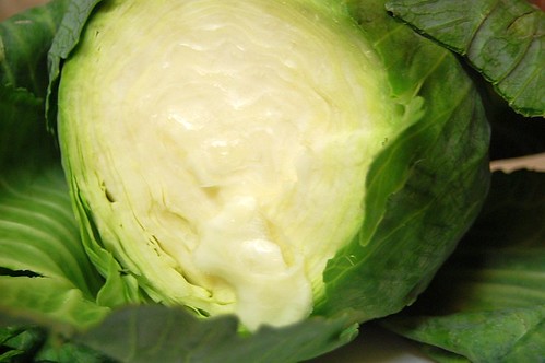 cabbage hankering
